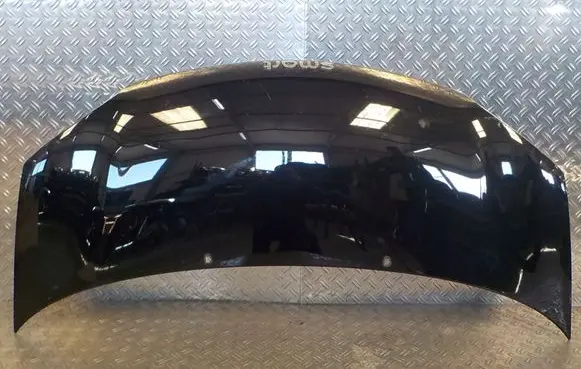 Engine bonnet/hood