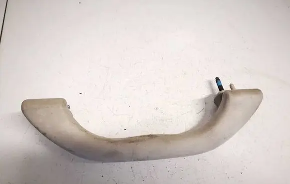 Front interior roof grab handle