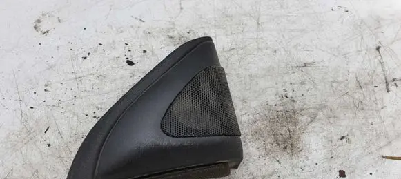 Side speaker trim/cover