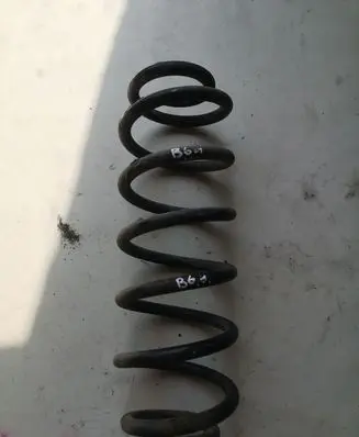Volkswagen PASSAT B6 Rear coil spring