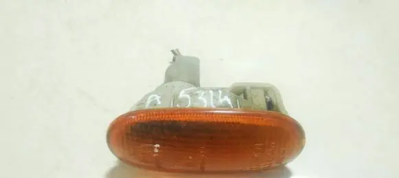 Front fender indicator light