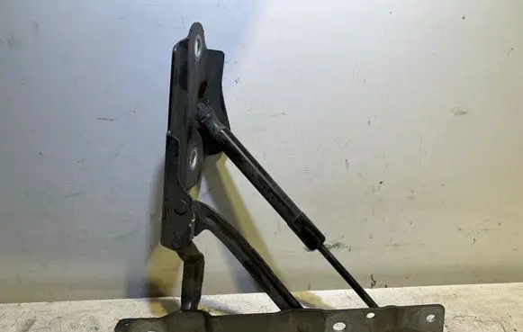 Dodge Challenger Tailgate/trunk/boot hinge 04539667