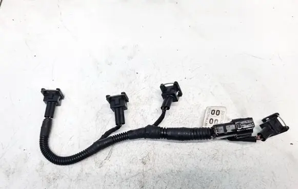 Other wiring loom