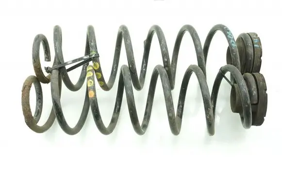 Rear coil spring