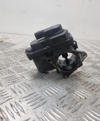 Dodge Journey Throttle valve PBTGF30