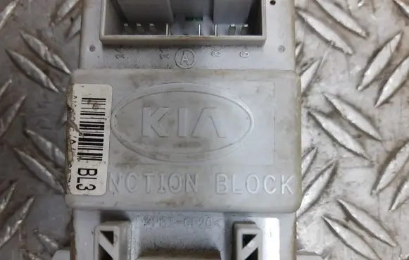 KIA Sorento Fuse module