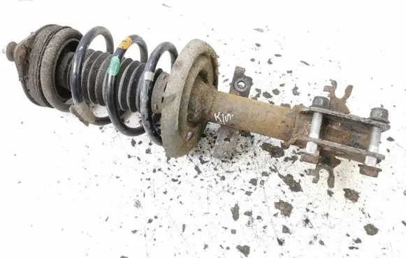Front shock absorber with coil spring
