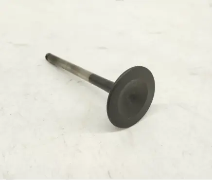 Mercedes-Benz S W140 Valve 1110531101 A1110531101