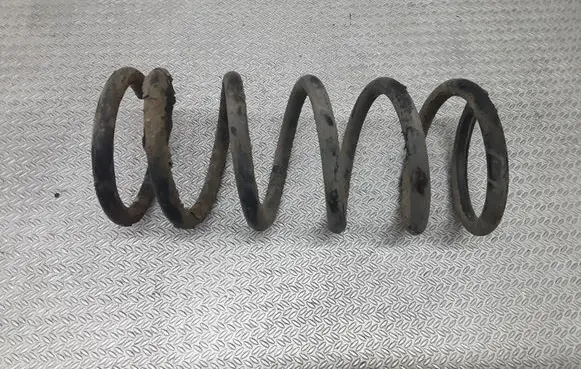 Nissan Maxima A34 Rear coil spring