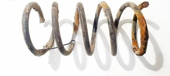 Rear coil spring