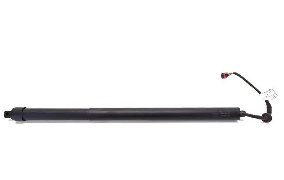 Tailgate strut