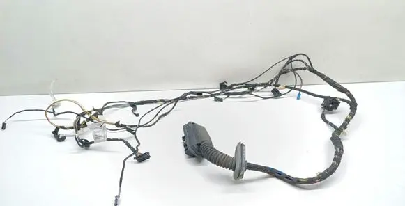 BMW X3 F25 Front door wiring loom 9252376