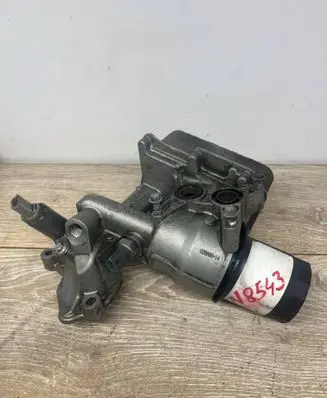 Renault Trafic III (X82) Engine oil radiator 152084648R