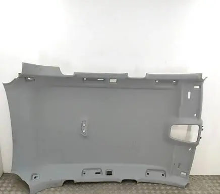 Audi Q5 SQ5 Headlining 80A867506AA