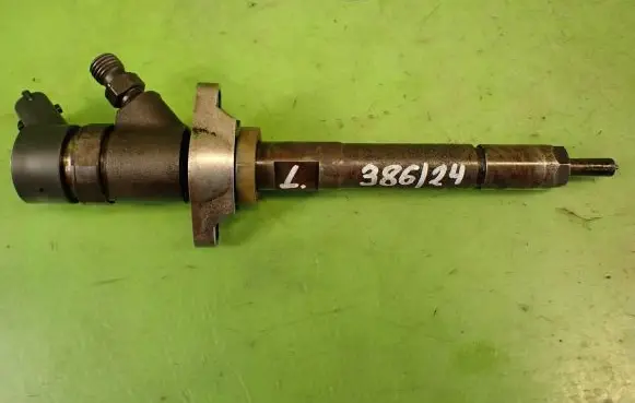 Citroen C4 I Fuel injector 0445110259
