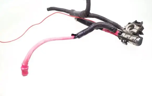Positive wiring loom