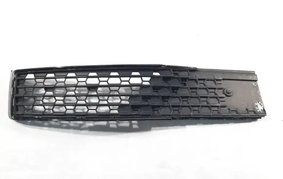 Audi Q5 SQ5 Front bumper lower grill 4S0807245