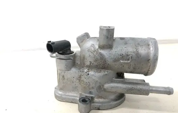 Thermostat/thermostat housing