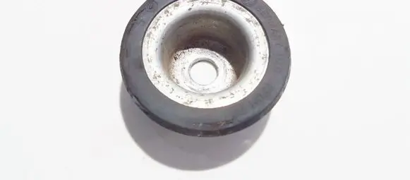 Coil spring mount