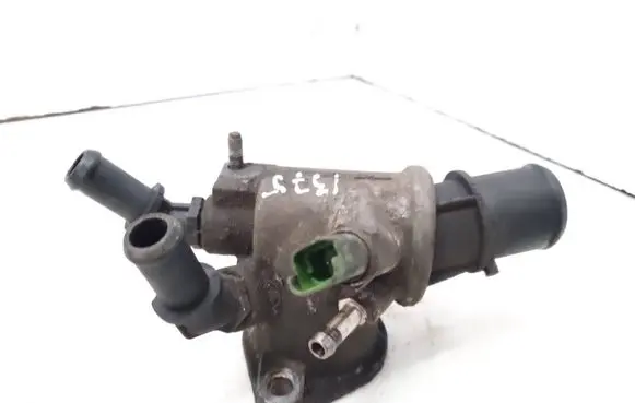 Thermostat/thermostat housing