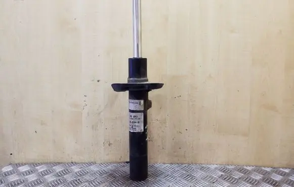 Volkswagen Tiguan Front shock absorber/damper