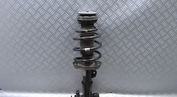 Opel Insignia A Front shock absorber/damper 13319741
