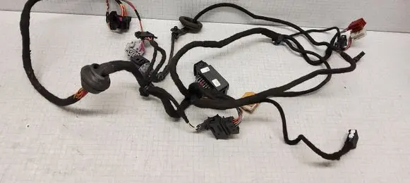 Volkswagen PASSAT B5.5 Front door wiring loom 3B0971120BD