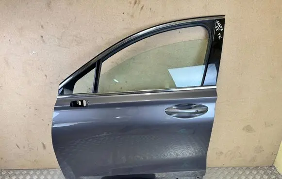 Hyundai Santa Fe Front door 