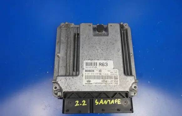 Hyundai Santa Fe Engine control unit/module 391162F350 0281019248 391012F350