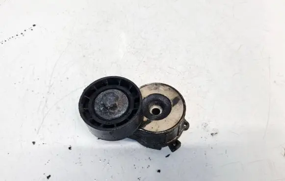 Citroen Nemo Generator/alternator belt tensioner 541273