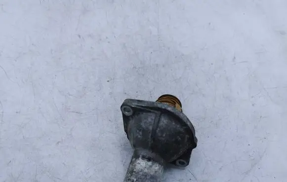 Thermostat/thermostat housing