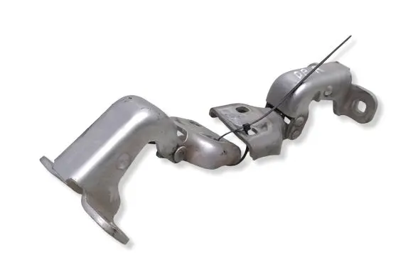 Renault Trafic II (X83) Front door hinges set 311772M GM66380