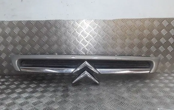Citroen C8 Front bumper lower grill 1484199477
