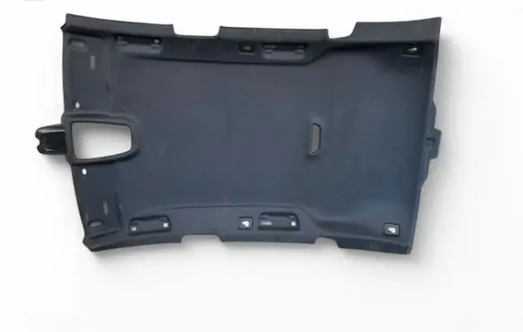 Audi A4 S4 B9 8W Headlining 8W9867506L 2349517743
