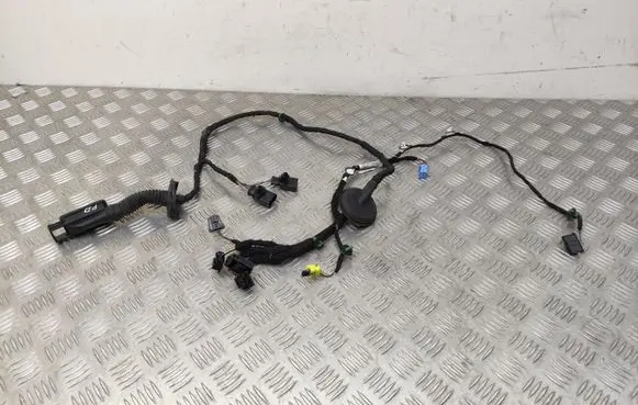 Seat Leon (5F) Front door wiring loom 5F4971030AE