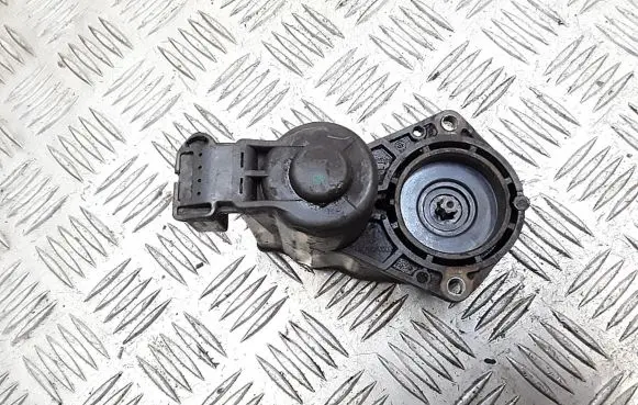 Citroen C4 I Picasso Rear brake caliper 0204749603ag