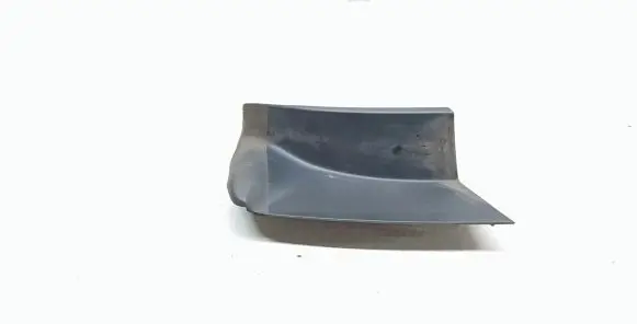 Rear/tail light trim molding