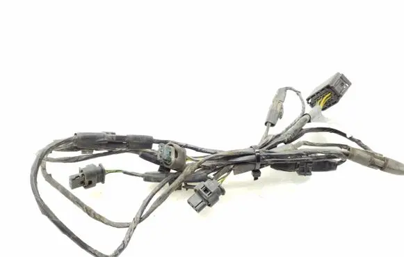BMW X5 E70 Parking sensor (PDC) wiring loom 8039827