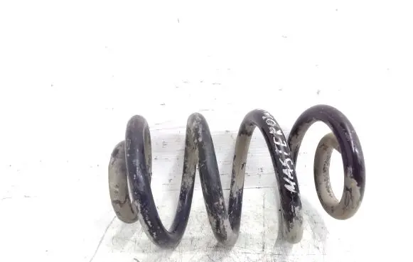 Front coil spring