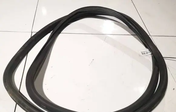 Volkswagen Golf Plus Rubber seal front coupe door 