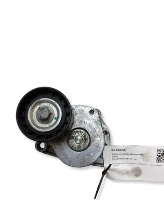 Renault Master III Belt tensioner pulley VKM36071