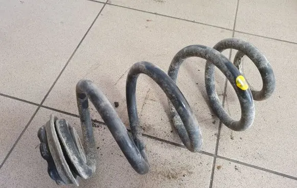 Nissan X-Trail T31 Rear coil spring