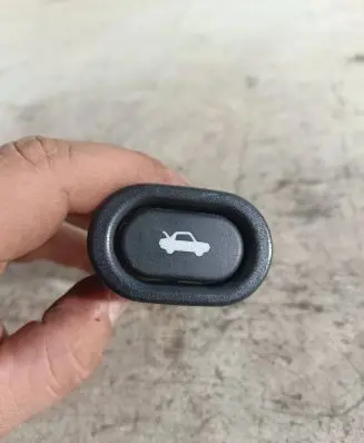 Tailgate opening switch