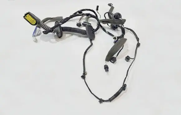 Renault Laguna II Left interior wiring harness 241250197R