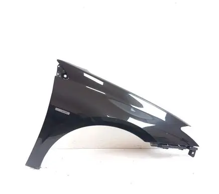 Renault Laguna III Fender