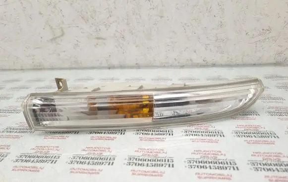 Volkswagen PASSAT CC Front indicator light