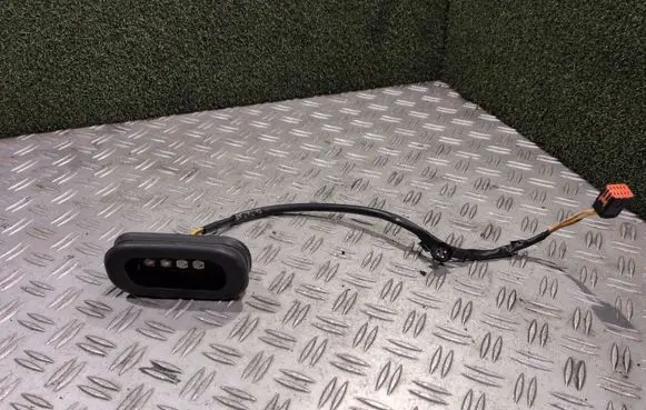 Renault Master III Sliding door contact joint 252160003R