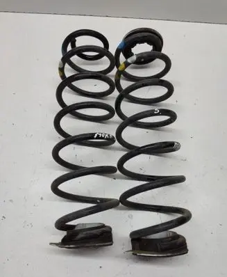 Rear coil spring
