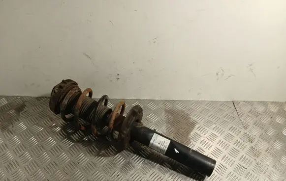 Volkswagen PASSAT B6 Front shock absorber with coil spring 313472