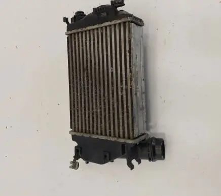 Renault Scenic IV - Grand scenic IV Intercooler radiator 144614EA1B